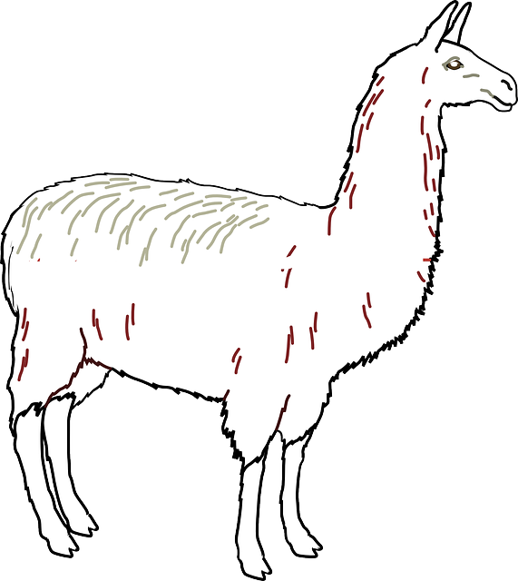 Lllama Stickers messages sticker-10