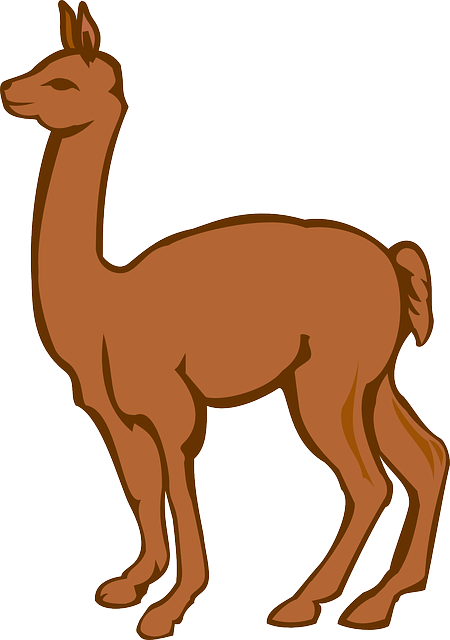 Lllama Stickers messages sticker-7