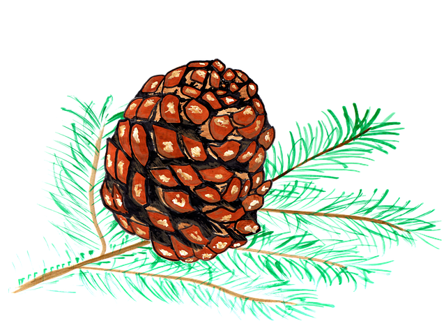 Pine Cone Stickers messages sticker-7