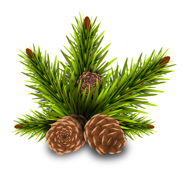 Pine Cone Stickers messages sticker-8