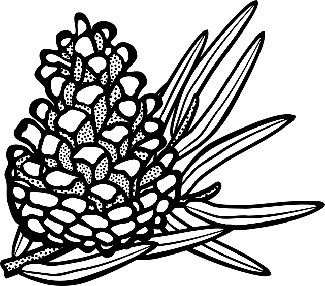 Pine Cone Stickers messages sticker-10