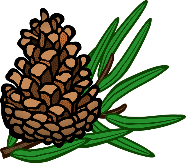 Pine Cone Stickers messages sticker-1