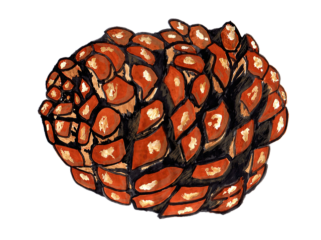 Pine Cone Stickers messages sticker-3