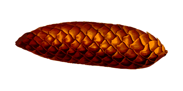 Pine Cone Stickers messages sticker-6