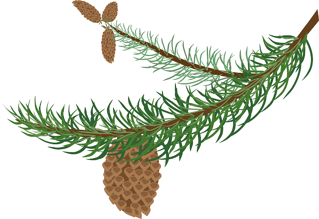 Pine Cone Stickers messages sticker-9
