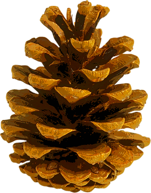 Pine Cone Stickers messages sticker-0