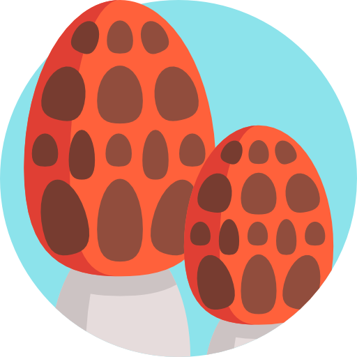 Autumn Fall Stickers messages sticker-10