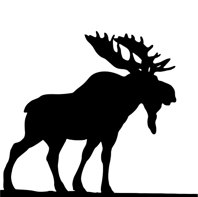 Moose Sticker Pack messages sticker-11