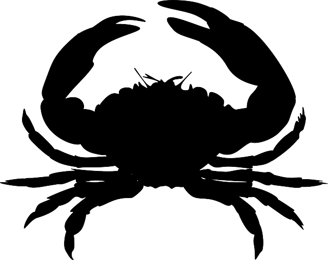 Crabby Crab Stickers messages sticker-5