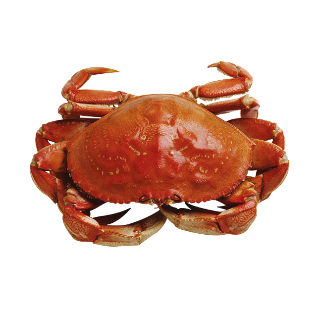 Crabby Crab Stickers messages sticker-7