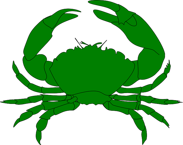 Crabby Crab Stickers messages sticker-10