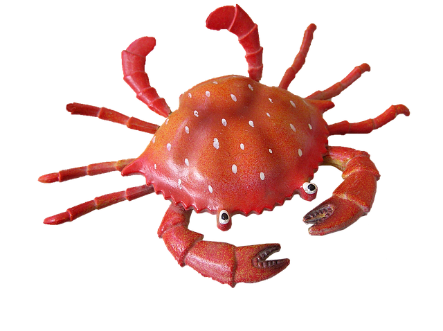 Crabby Crab Stickers messages sticker-8