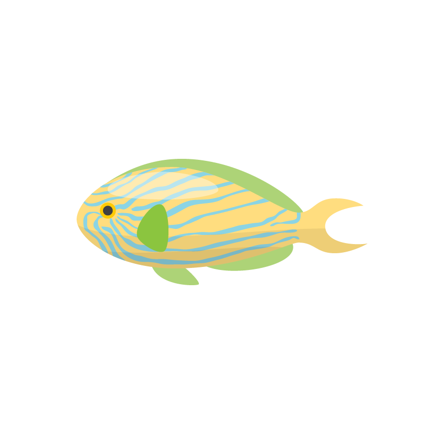 Magic Fish AR messages sticker-6