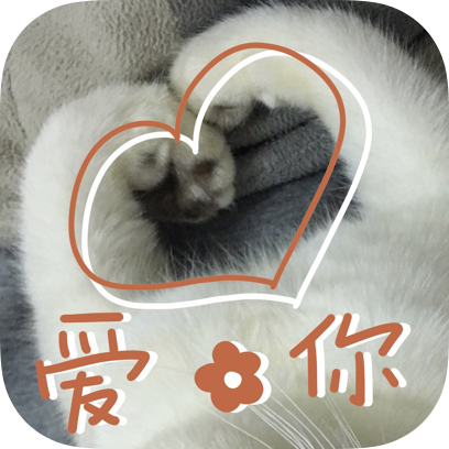 Icon喵~ messages sticker-9
