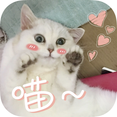 Icon喵~ messages sticker-8