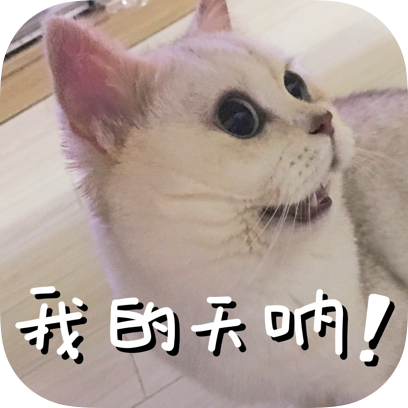 Icon喵~ messages sticker-11