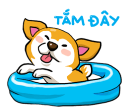 Camcam husky Sticker messages sticker-8
