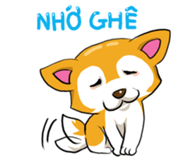 Camcam husky Sticker messages sticker-11
