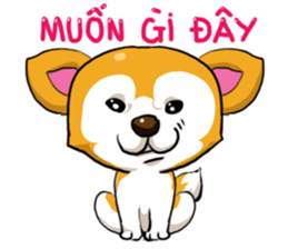 Camcam husky Sticker messages sticker-6