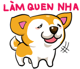 Camcam husky Sticker messages sticker-0