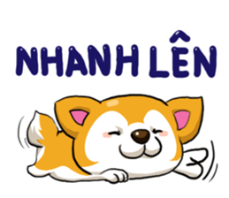 Camcam husky Sticker messages sticker-4