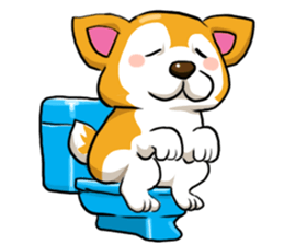 Camcam husky Sticker messages sticker-10