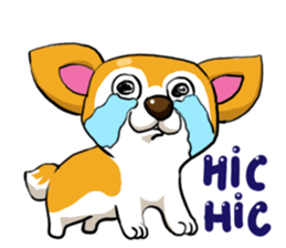 Camcam husky Sticker messages sticker-2