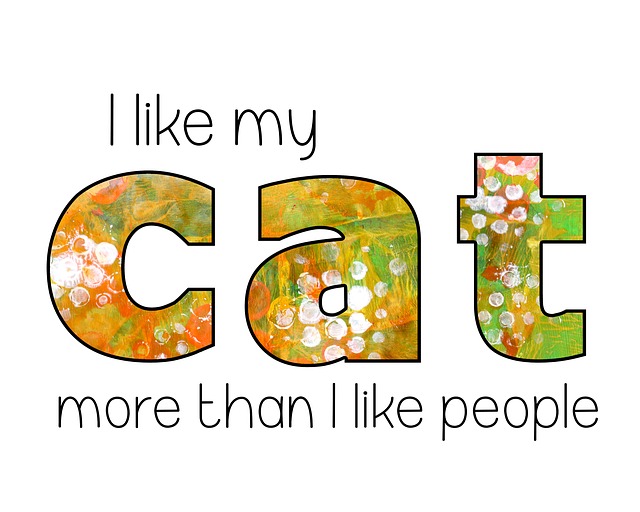 Cat Quote Stickers messages sticker-6