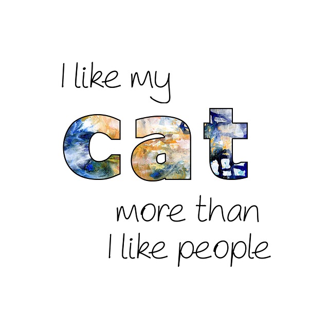 Cat Quote Stickers messages sticker-7
