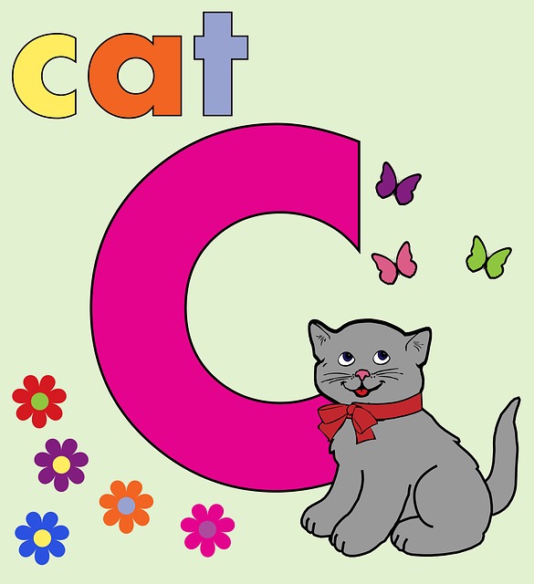 Cat Quote Stickers messages sticker-4
