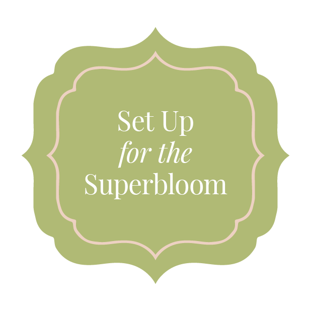 CFSisterhood messages sticker-7