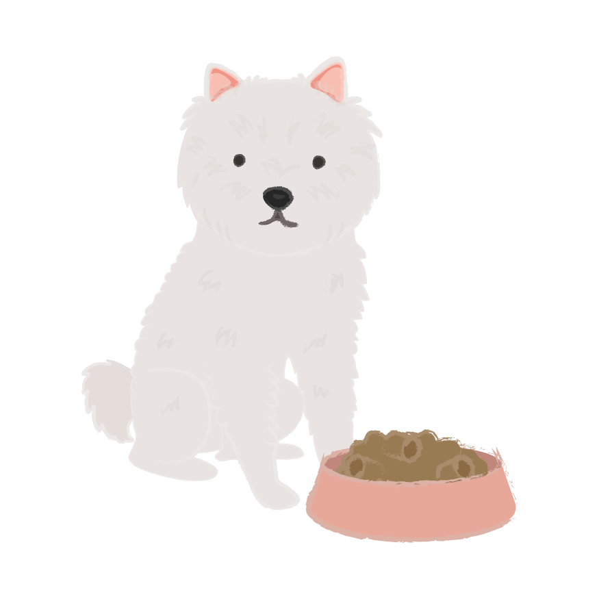 Puppy Wear Co. messages sticker-11