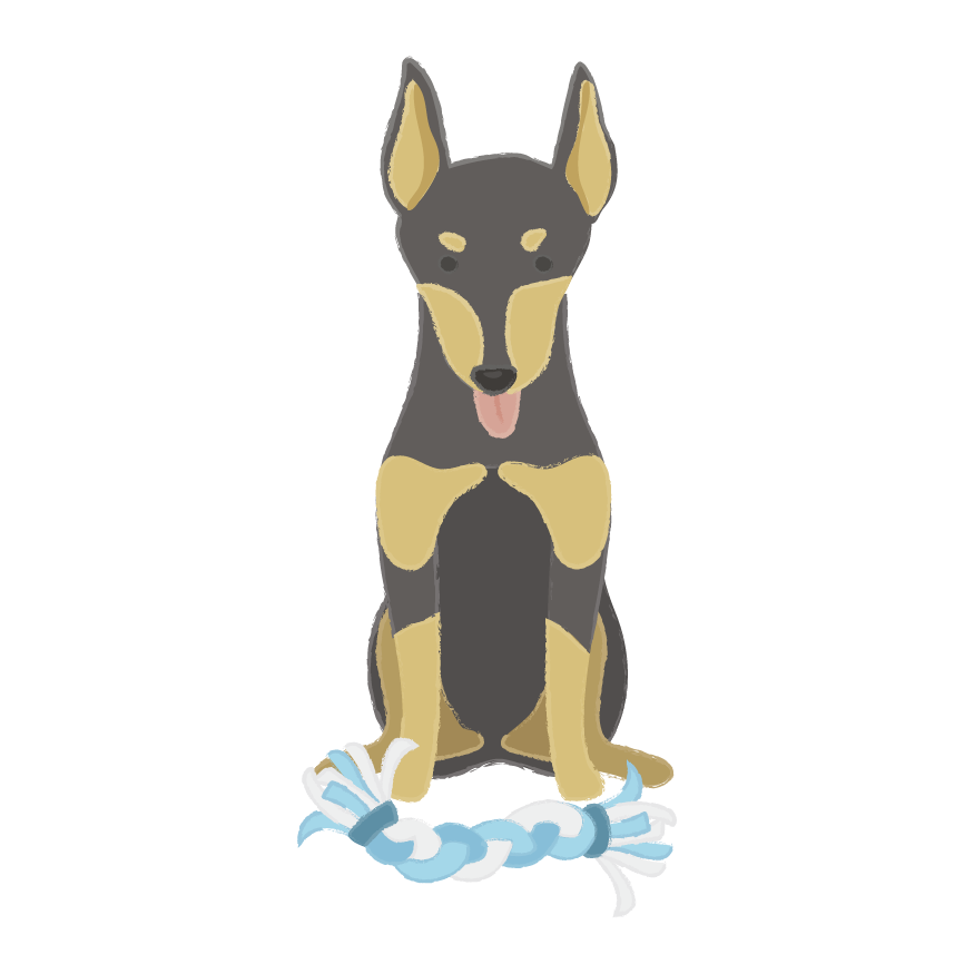 Puppy Wear Co. messages sticker-3