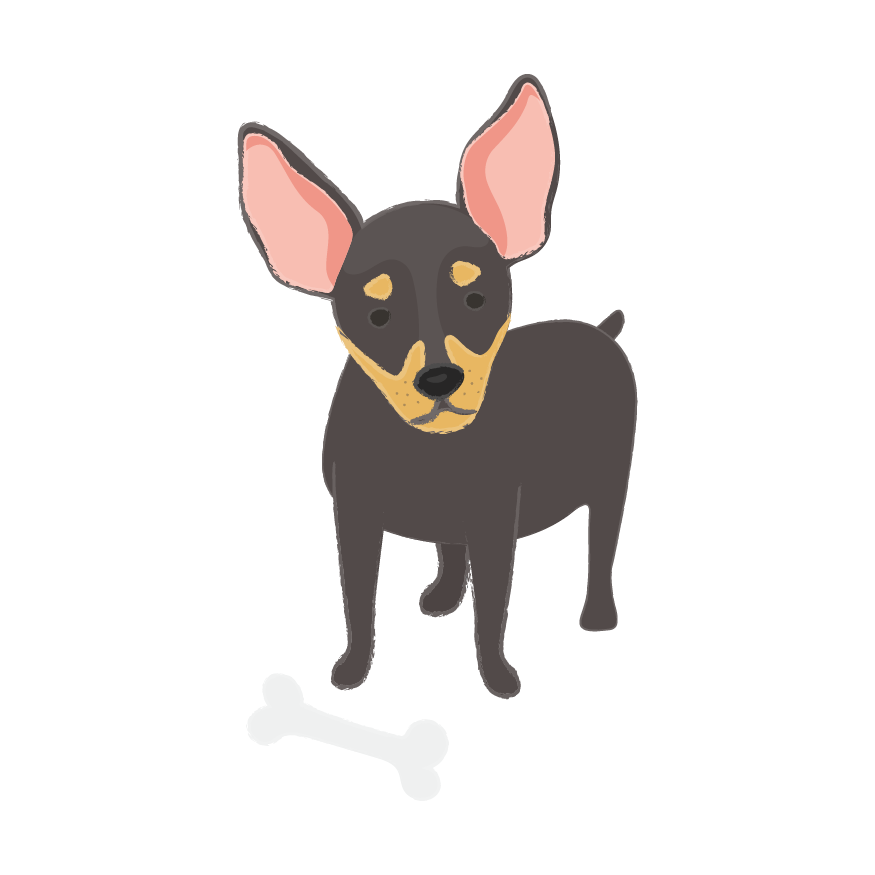 Puppy Wear Co. messages sticker-10