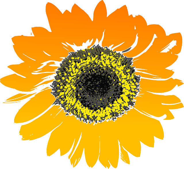 Sunflower Stickers messages sticker-2