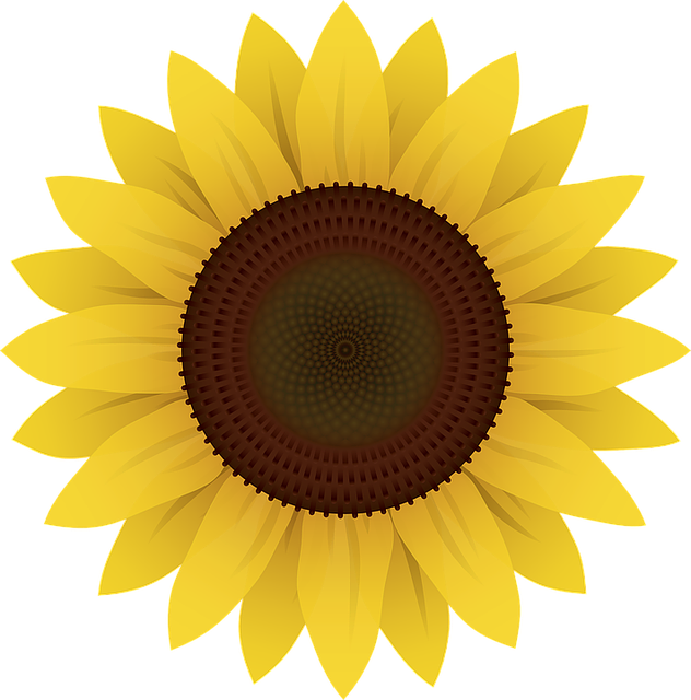 Sunflower Stickers messages sticker-1
