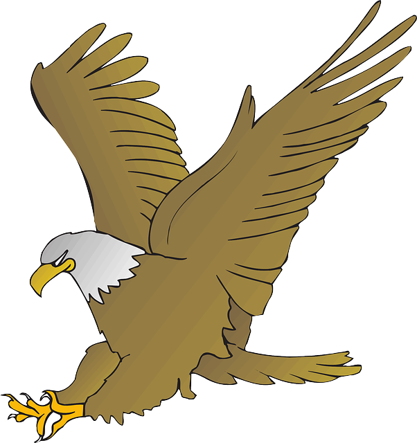 Exquisite Eagle Stickers messages sticker-3