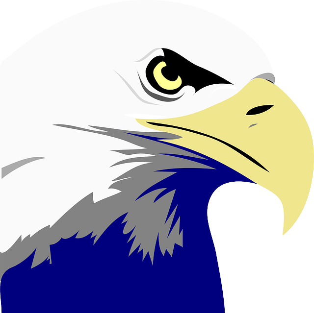 Exquisite Eagle Stickers messages sticker-1