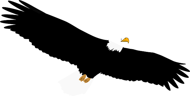 Exquisite Eagle Stickers messages sticker-9