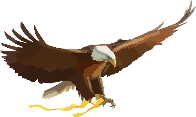 Exquisite Eagle Stickers messages sticker-7