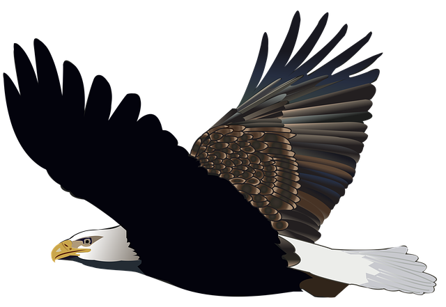 Exquisite Eagle Stickers messages sticker-6
