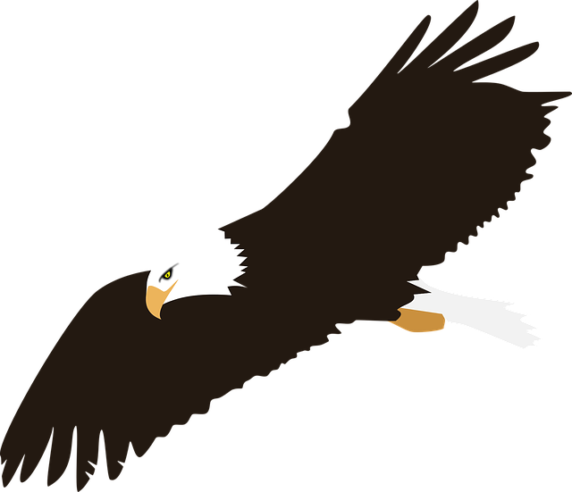 Exquisite Eagle Stickers messages sticker-5