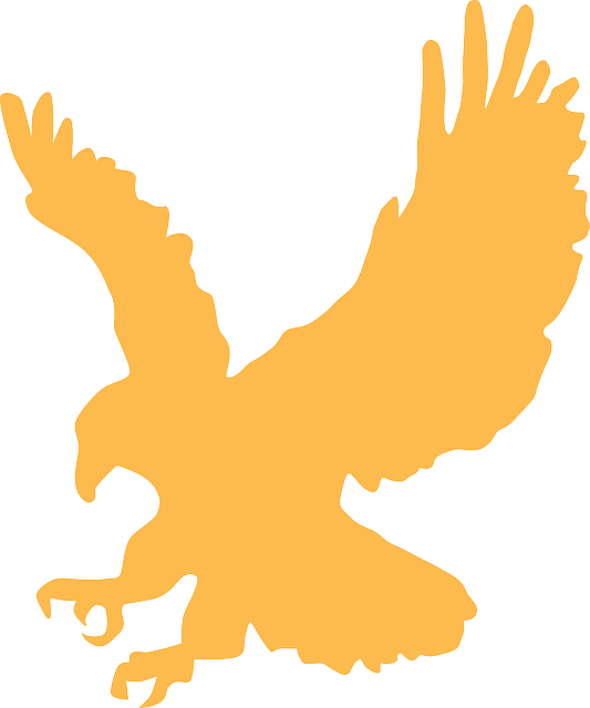 Exquisite Eagle Stickers messages sticker-4