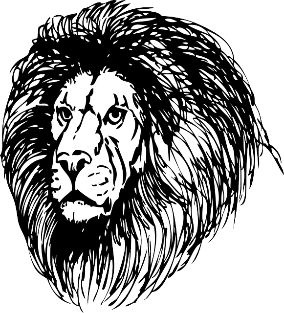 Lion Stickers messages sticker-5