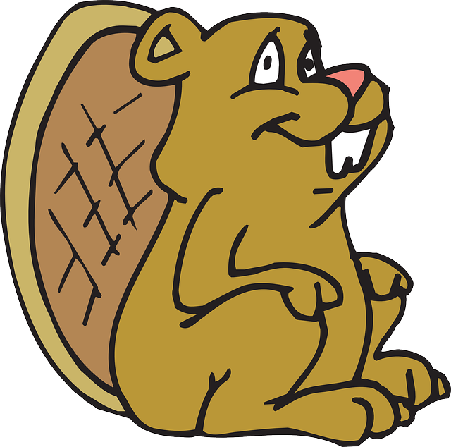 Best Beaver Stickers messages sticker-1