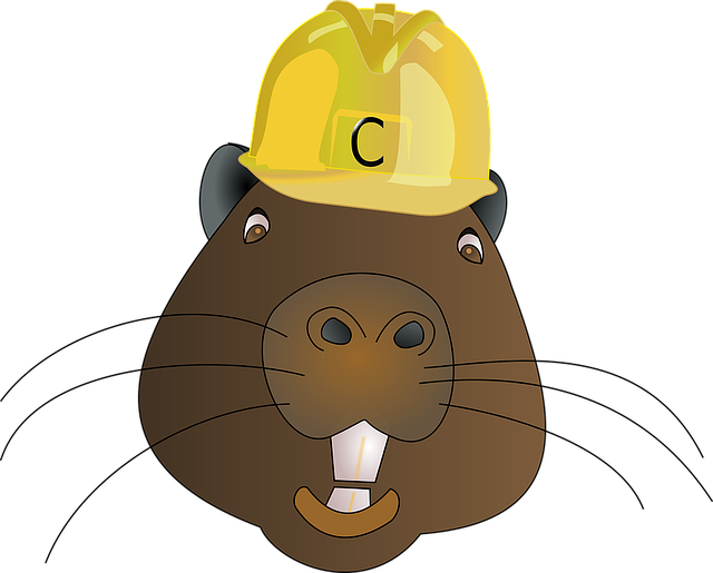 Best Beaver Stickers messages sticker-11