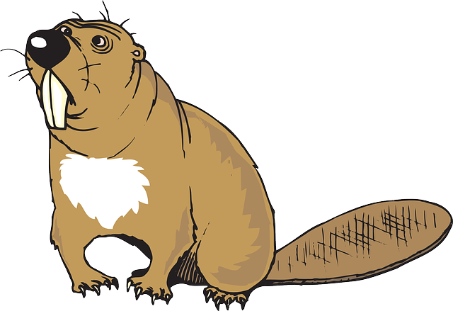 Best Beaver Stickers messages sticker-10