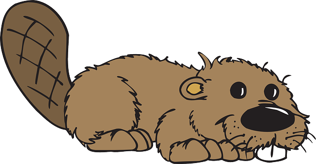 Best Beaver Stickers messages sticker-5