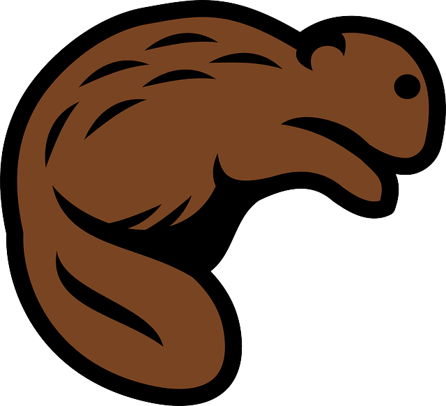 Best Beaver Stickers messages sticker-7
