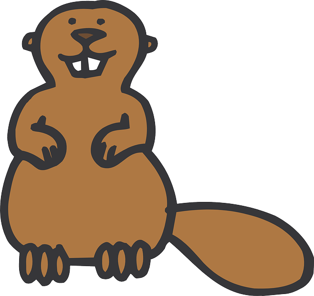 Best Beaver Stickers messages sticker-2
